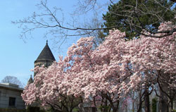 Lake View Cemetery